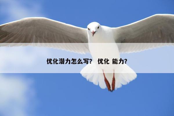 优化潜力怎么写？ 优化 能力？
