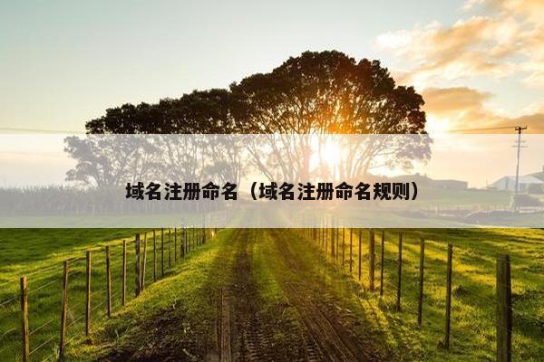 域名注册命名（域名注册命名规则）