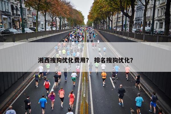 湘西搜狗优化费用？ 排名搜狗优化？
