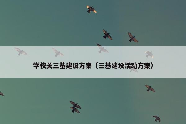 学校关三基建设方案（三基建设活动方案）