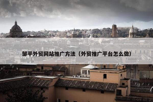 邹平外贸网站推广方法（外贸推广平台怎么做）