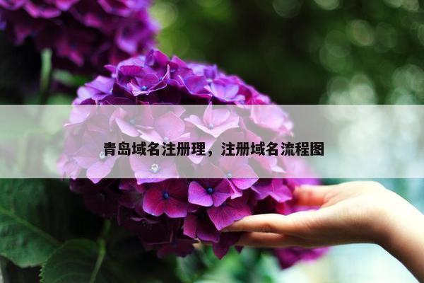青岛域名注册理，注册域名流程图