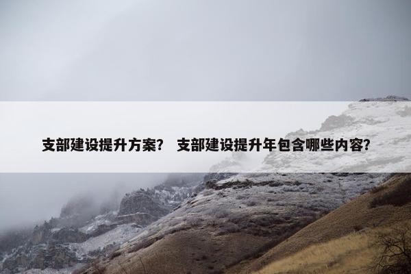支部建设提升方案？ 支部建设提升年包含哪些内容？
