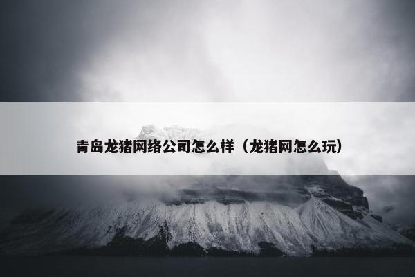 青岛龙猪网络公司怎么样（龙猪网怎么玩）