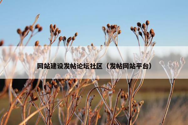 网站建设发帖论坛社区（发帖网站平台）