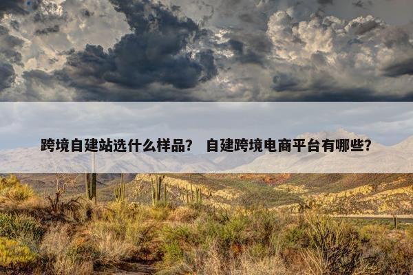 跨境自建站选什么样品？ 自建跨境电商平台有哪些？