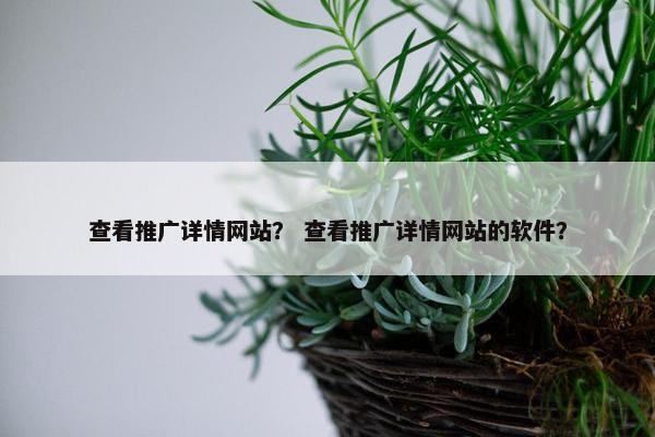 查看推广详情网站？ 查看推广详情网站的软件？