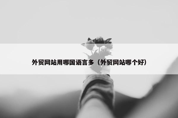 外贸网站用哪国语言多（外贸网站哪个好）