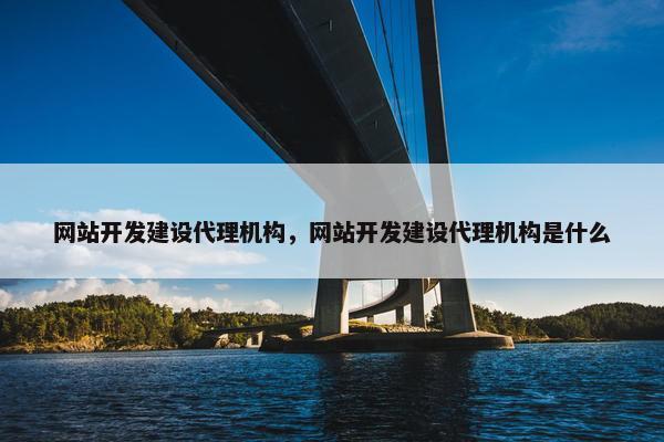 网站开发建设代理机构，网站开发建设代理机构是什么