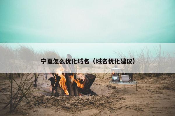 宁夏怎么优化域名（域名优化建议）