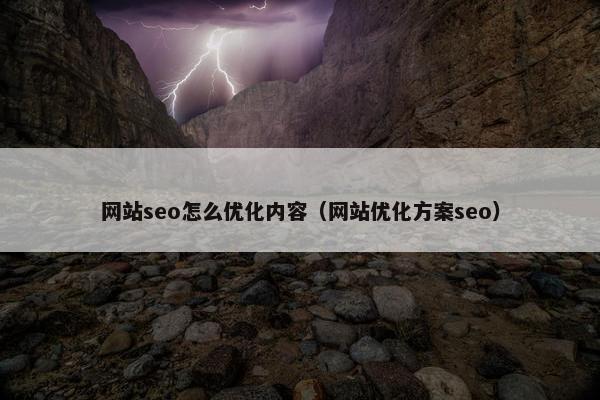 网站seo怎么优化内容（网站优化方案seo）