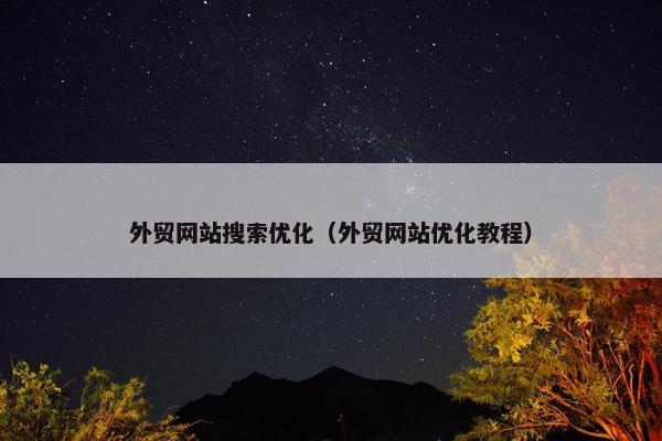 外贸网站搜索优化（外贸网站优化教程）