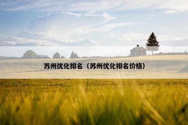 苏州优化排名（苏州优化排名价格）