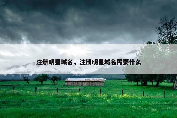 注册明星域名，注册明星域名需要什么