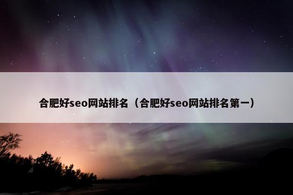 合肥好seo网站排名（合肥好seo网站排名第一）