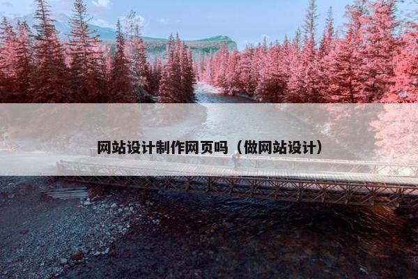 网站设计制作网页吗（做网站设计）