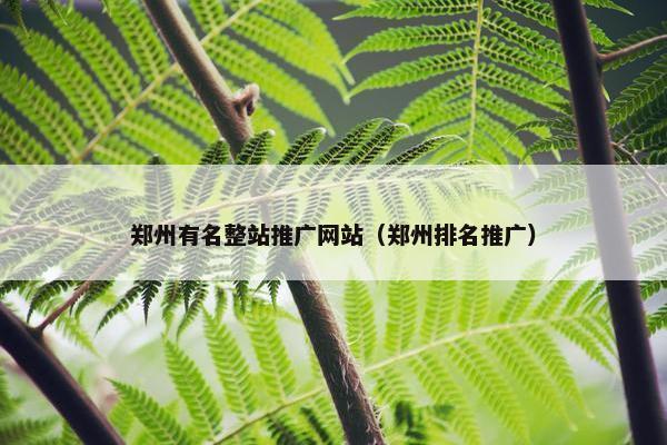 郑州有名整站推广网站（郑州排名推广）