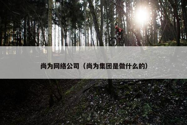 尚为网络公司（尚为集团是做什么的）