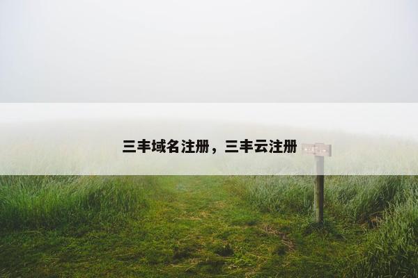 三丰域名注册，三丰云注册