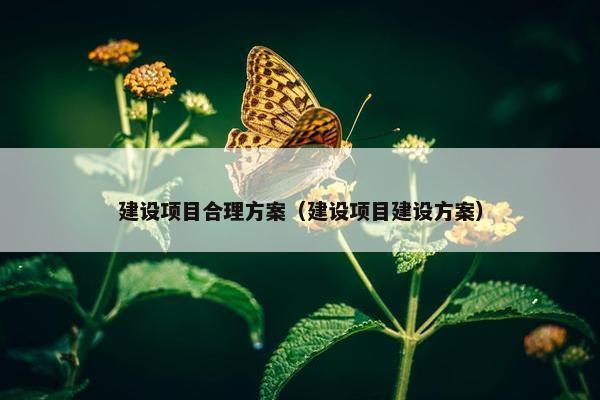 建设项目合理方案（建设项目建设方案）
