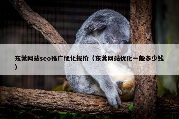 东莞网站seo推广优化报价（东莞网站优化一般多少钱）