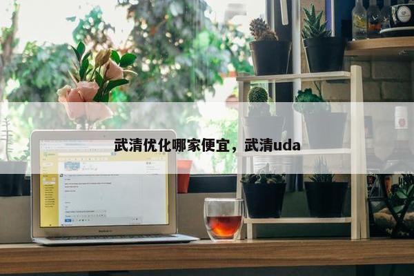 武清优化哪家便宜，武清uda