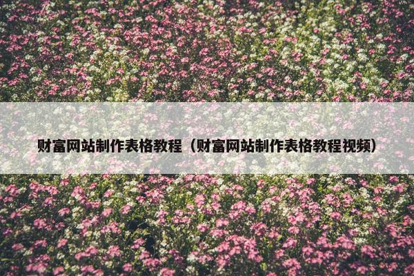 财富网站制作表格教程（财富网站制作表格教程视频）