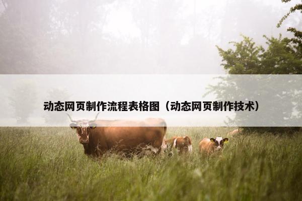 动态网页制作流程表格图（动态网页制作技术）
