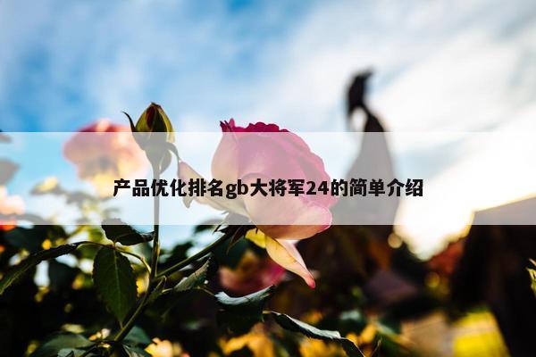 产品优化排名gb大将军24的简单介绍