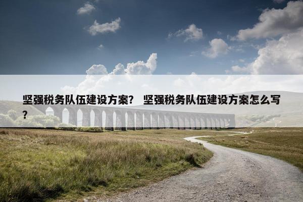 坚强税务队伍建设方案？ 坚强税务队伍建设方案怎么写？