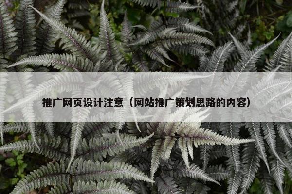 推广网页设计注意（网站推广策划思路的内容）