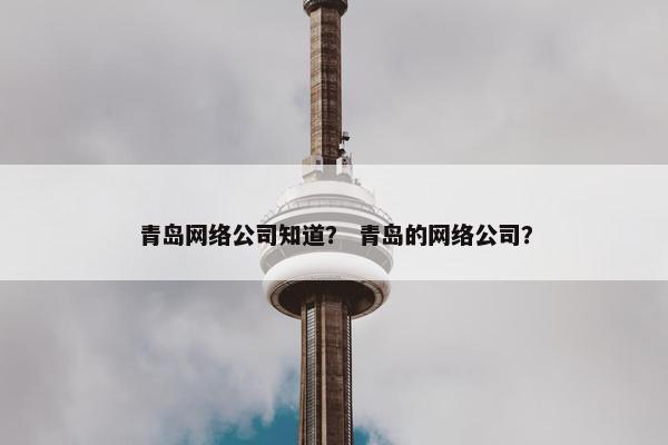 青岛网络公司知道？ 青岛的网络公司？
