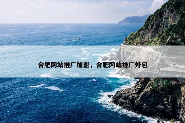 合肥网站推广加盟，合肥网站推广外包