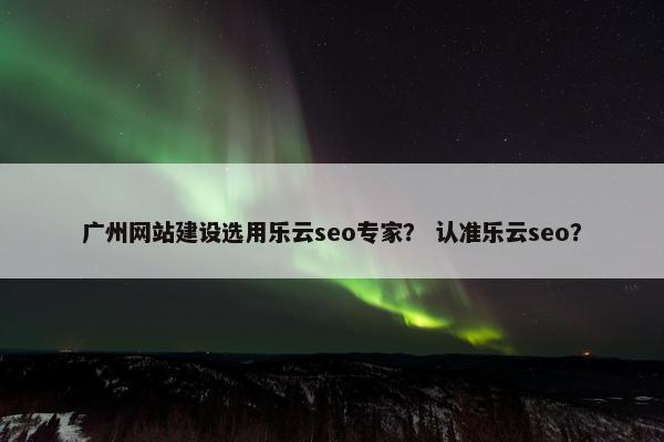 广州网站建设选用乐云seo专家？ 认准乐云seo？