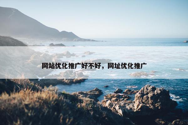 网站优化推广好不好，网址优化推广