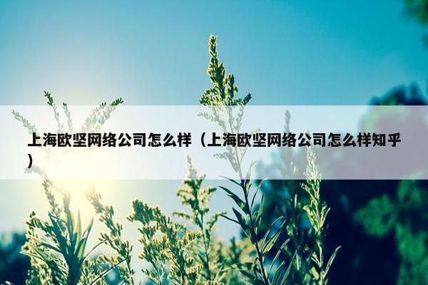 上海欧坚网络公司怎么样（上海欧坚网络公司怎么样知乎）