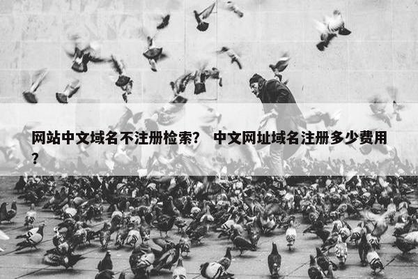网站中文域名不注册检索？ 中文网址域名注册多少费用？