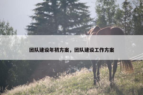 团队建设年初方案，团队建设工作方案