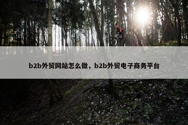 b2b外贸网站怎么做，b2b外贸电子商务平台