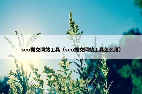seo提交网站工具（seo提交网站工具怎么用）