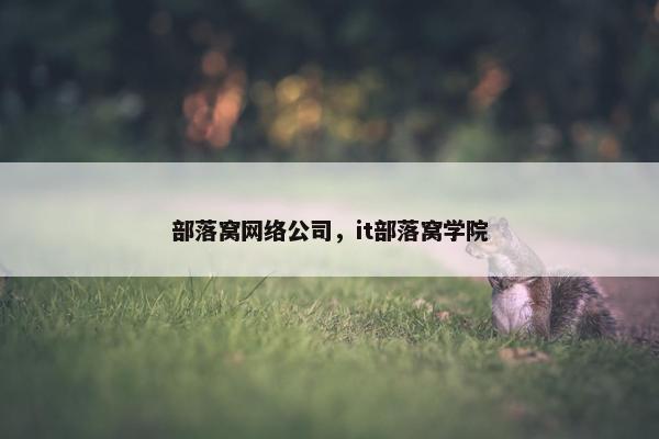 部落窝网络公司，it部落窝学院