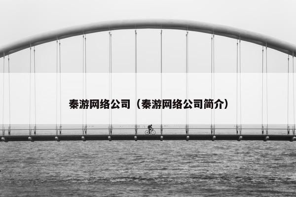 秦游网络公司（秦游网络公司简介）