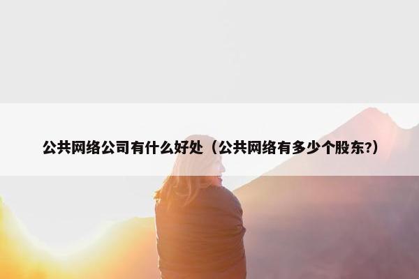 公共网络公司有什么好处（公共网络有多少个股东?）