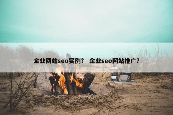 企业网站seo实例？ 企业seo网站推广？