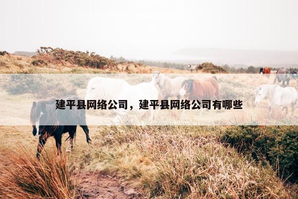 建平县网络公司，建平县网络公司有哪些