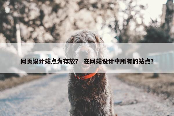 网页设计站点为存放？ 在网站设计中所有的站点？