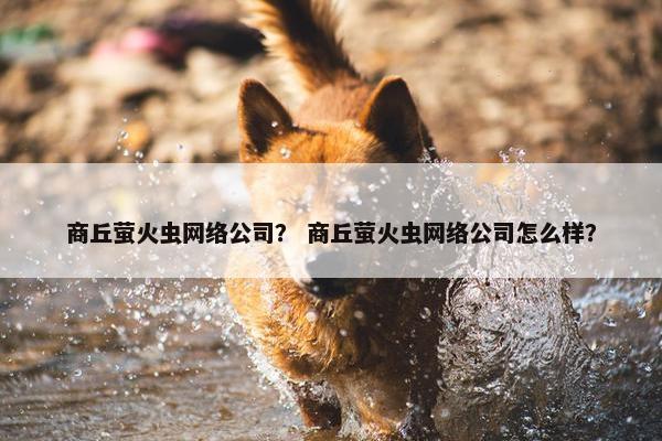 商丘萤火虫网络公司？ 商丘萤火虫网络公司怎么样？
