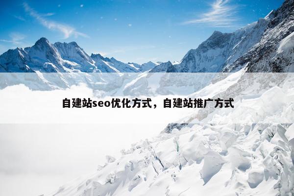 自建站seo优化方式，自建站推广方式