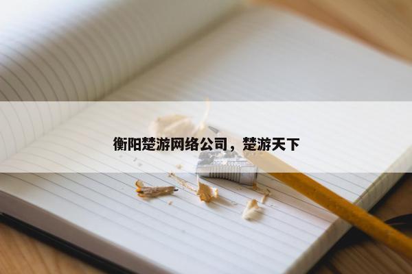 衡阳楚游网络公司，楚游天下