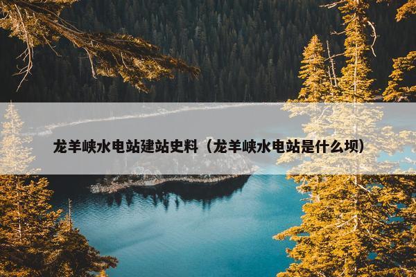 龙羊峡水电站建站史料（龙羊峡水电站是什么坝）